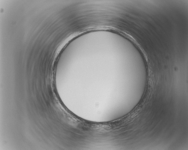 X0000051921187200507152049