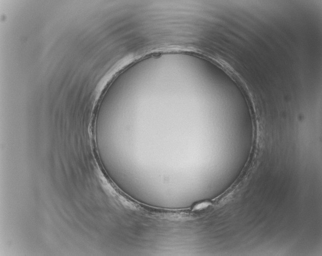 X0000051921189200507152049