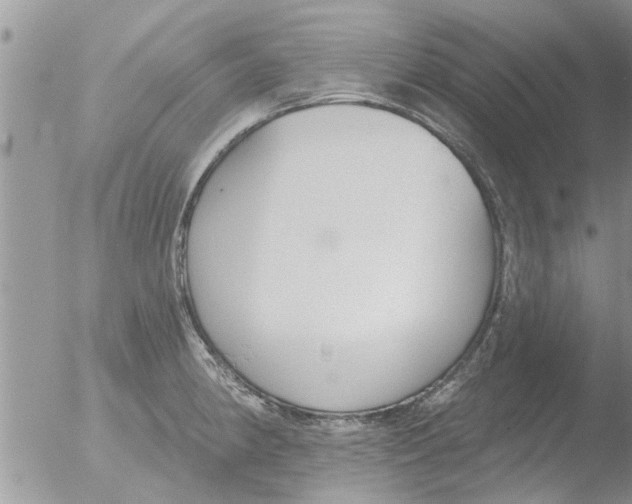 X0000051921190200507152049