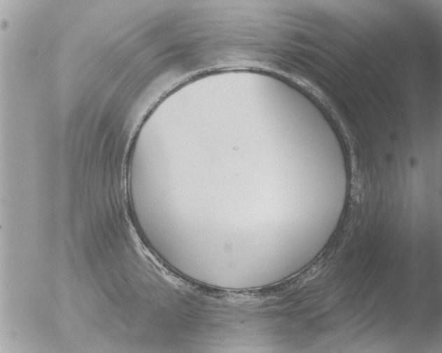 X0000051921191200507152049