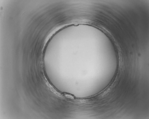 X0000051921192200507152049