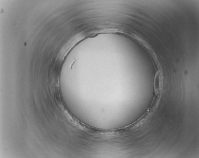 X0000051921193200507152049