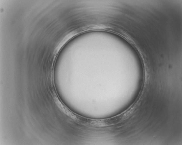 X0000051921194200507152049