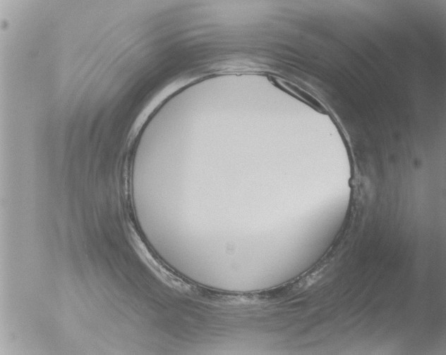 X0000051921195200507152049