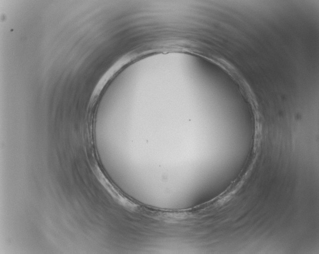 X0000051921196200507152049