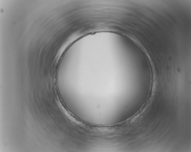 X0000051921197200507152049