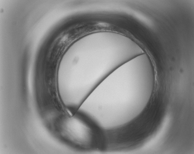 X0000051921199200507152049