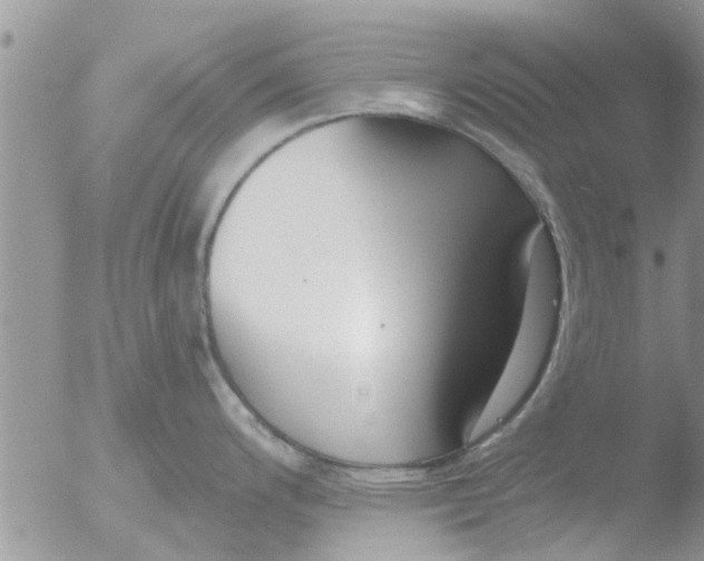 X0000051921200200507152049