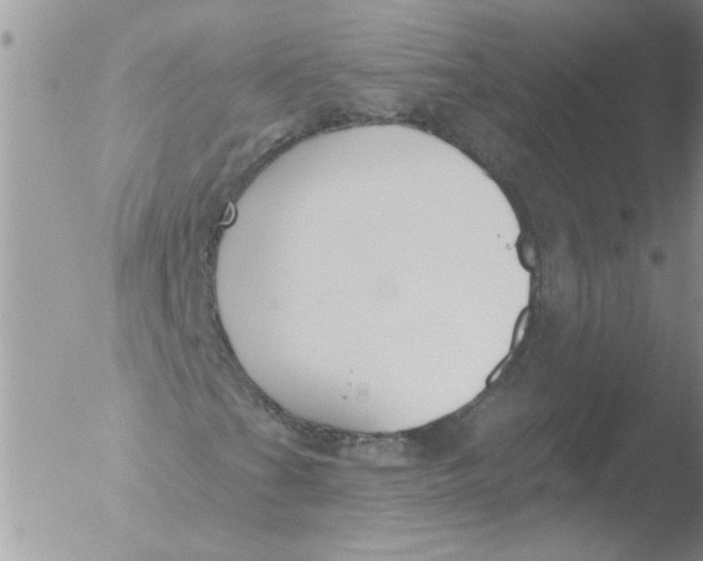 X0000051921201200507152048