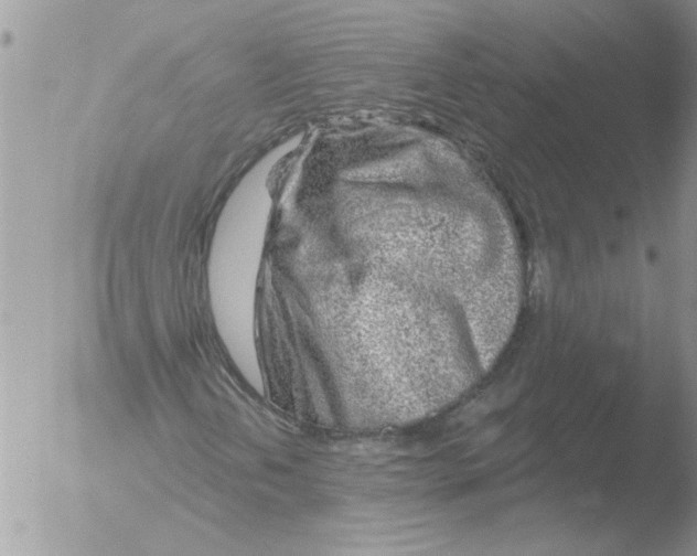 X0000051921202200507152048