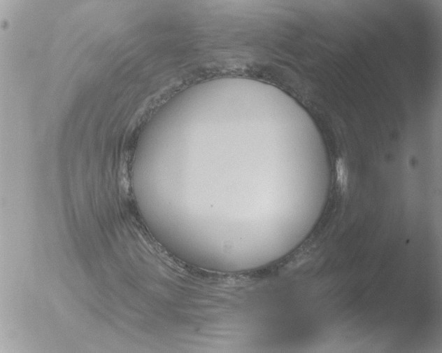 X0000051921203200507152048