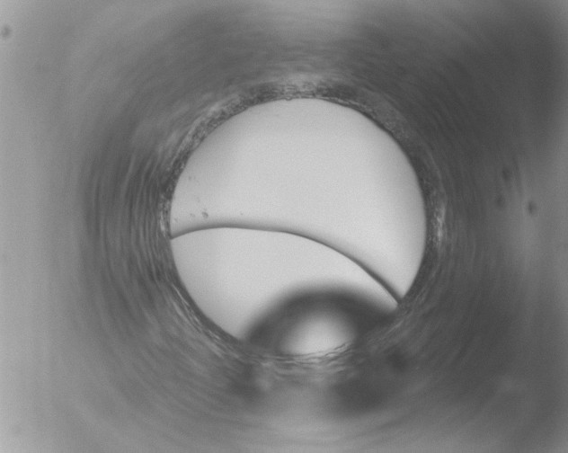 X0000051921204200507152048