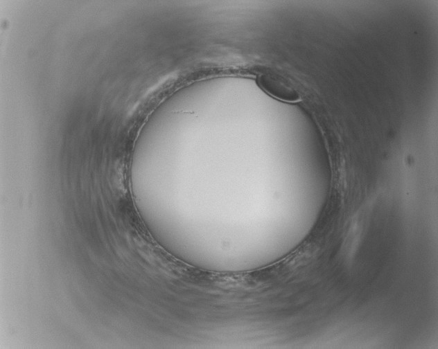 X0000051921205200507152048