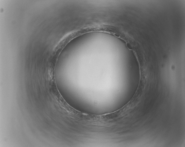 X0000051921206200507152048