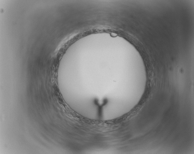 X0000051921207200507152048