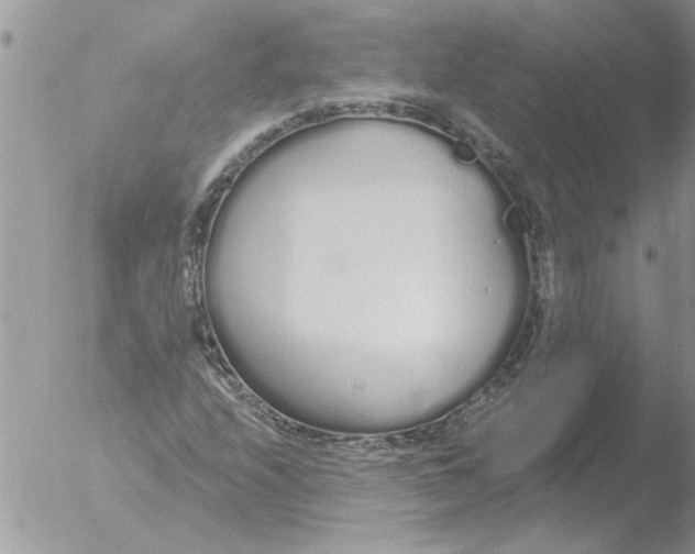 X0000051921208200507152048