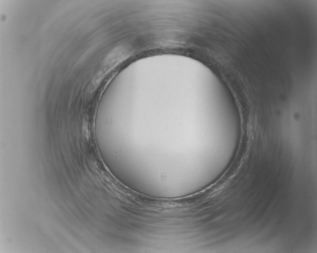 X0000051921209200507152048