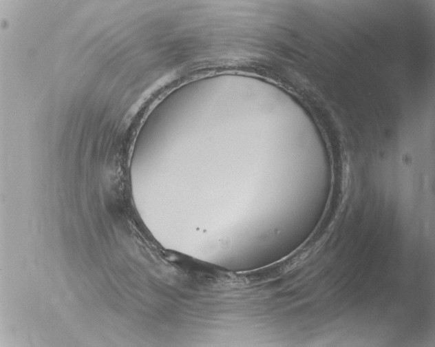 X0000051921210200507152048