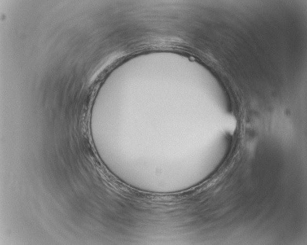 X0000051921211200507152048