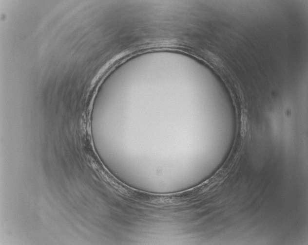 X0000051921212200507152048