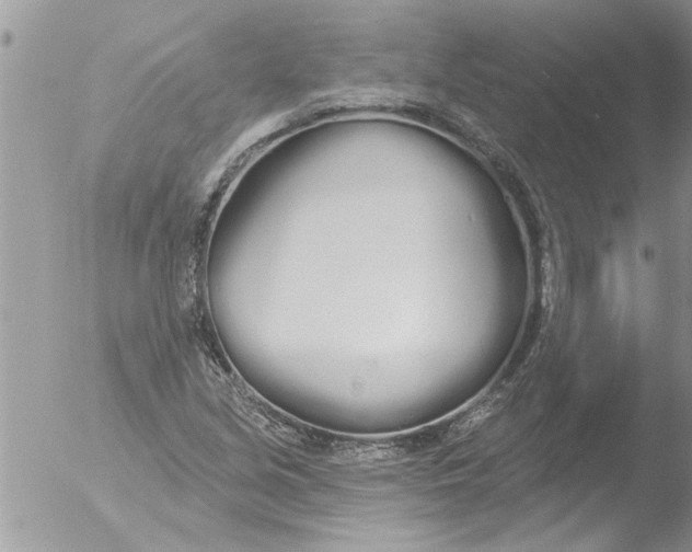 X0000051921213200507152048