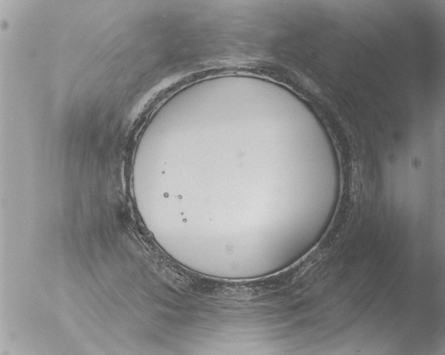 X0000051921214200507152048