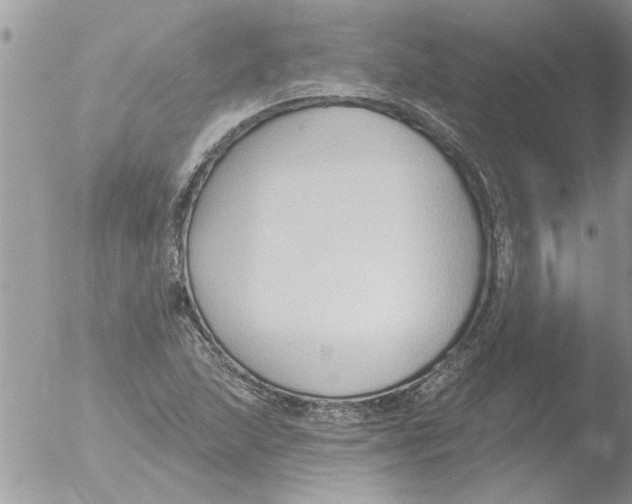 X0000051921215200507152048