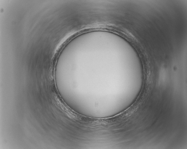 X0000051921216200507152048