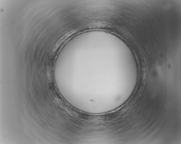 X0000051921217200507152048