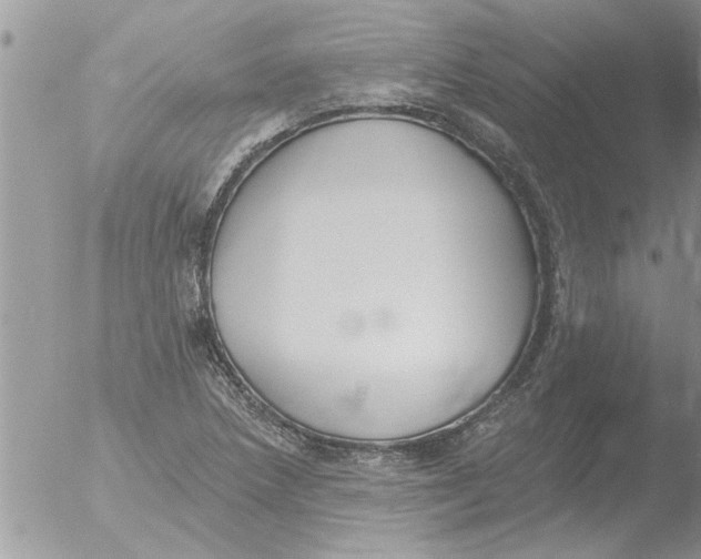 X0000051921218200507152048