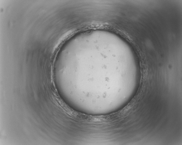 X0000051921219200507152048