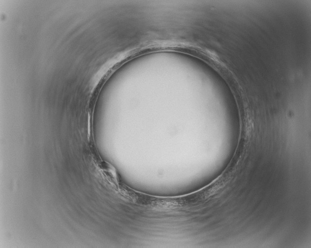 X0000051921221200507152048