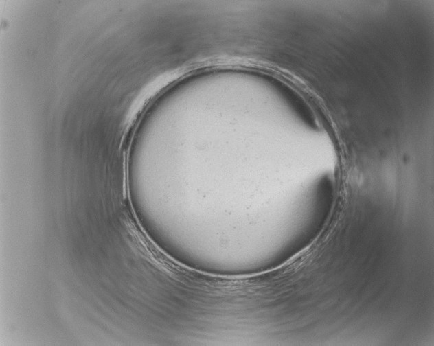 X0000051921223200507152048