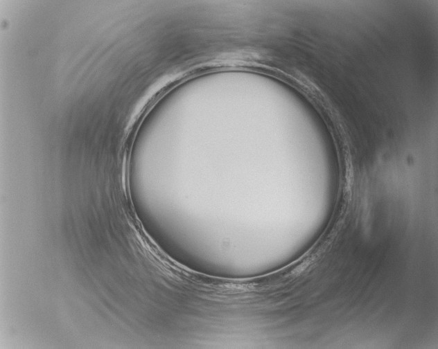 X0000051921224200507152048