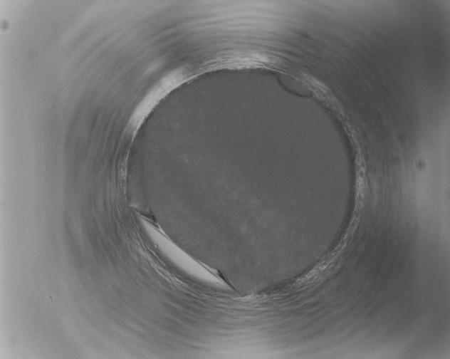 X0000051921226200507152048