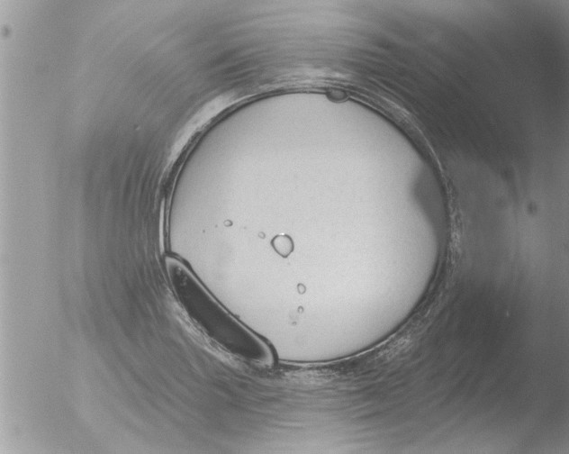 X0000051921227200507152048