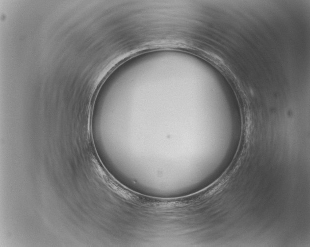 X0000051921228200507152048