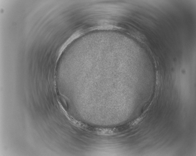 X0000051921229200507152048