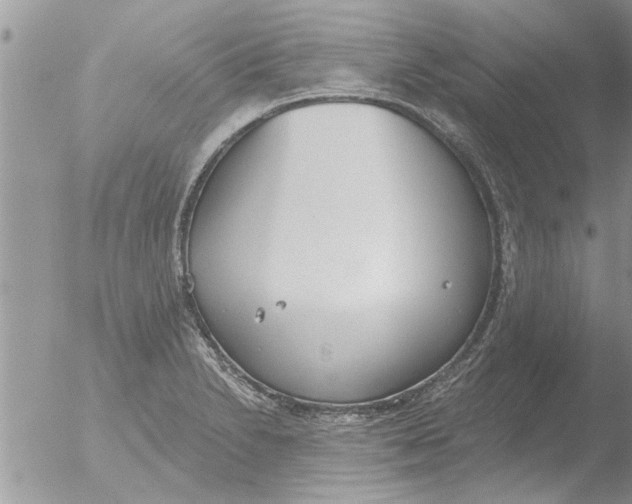 X0000051921230200507152048