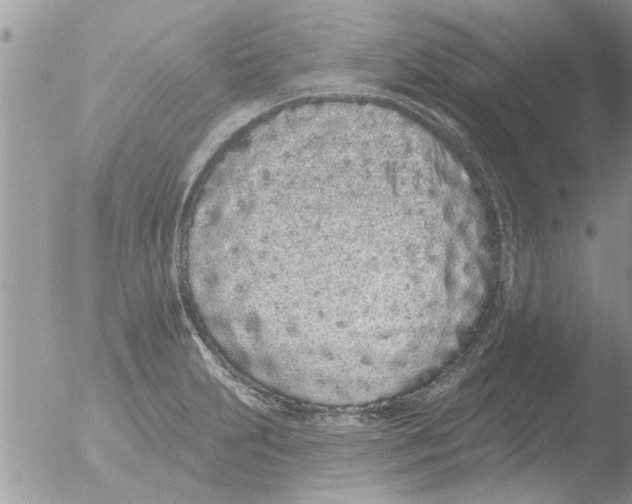 X0000051921231200507152048