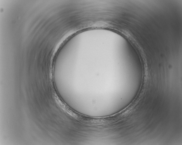 X0000051921232200507152048