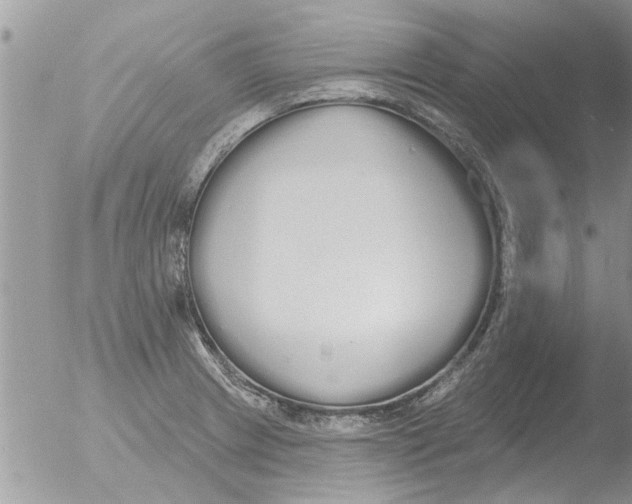 X0000051921233200507152048