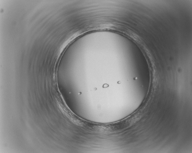 X0000051921234200507152048