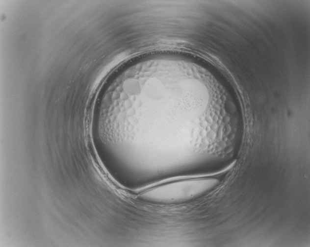 X0000051921235200507152048