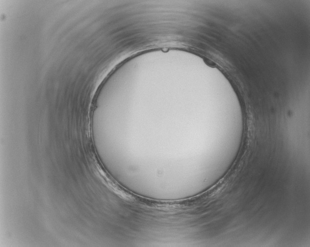 X0000051921236200507152048