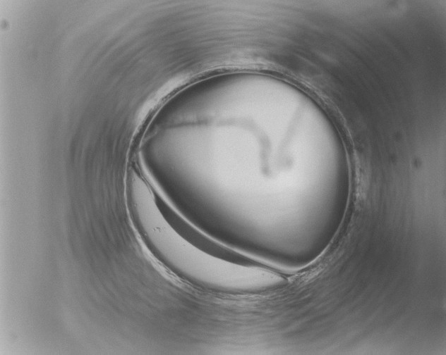 X0000051921237200507152048