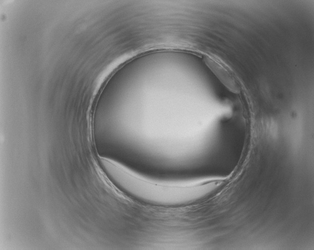 X0000051921238200507152048