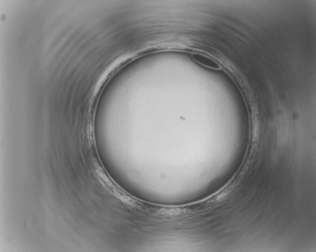 X0000051921240200507152048