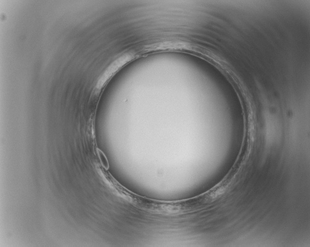 X0000051921241200507152048