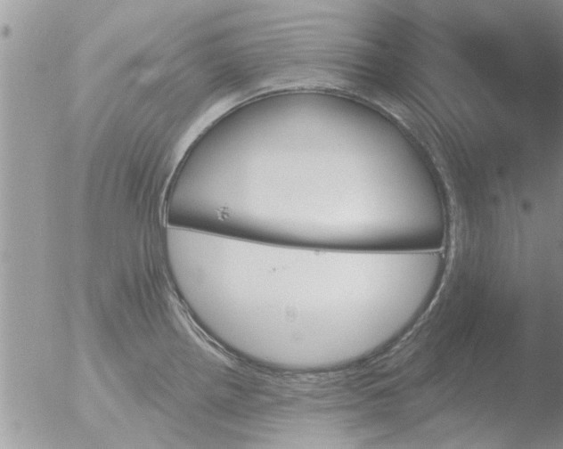 X0000051921242200507152048